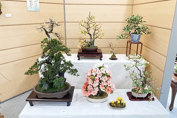 金融機関のフロア展示