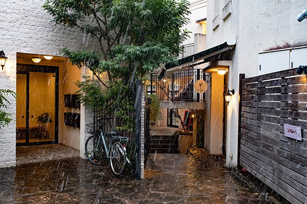 静岡の中心地で雪が降る