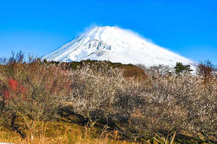 ヘルシーパーク足湯から