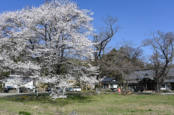 曹洞宗の寺院、轉嗣院境内
