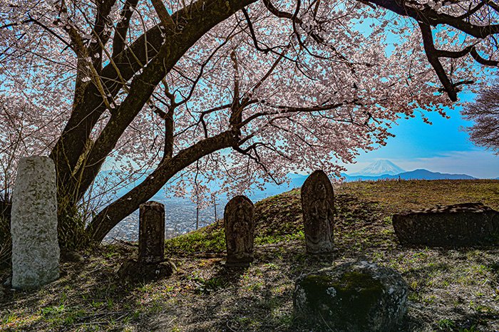 桜の下の地蔵ごしの富士山