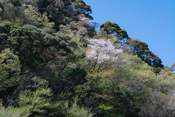 美しいパッチワークの山々