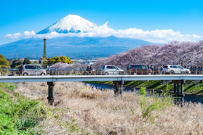 ルールを守って撮影を