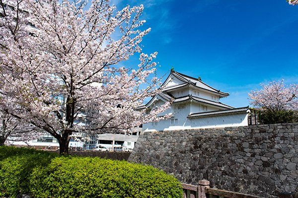 静岡県の外郭団体を訪ねます