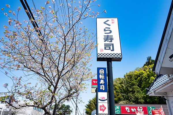 桜残る沓谷
