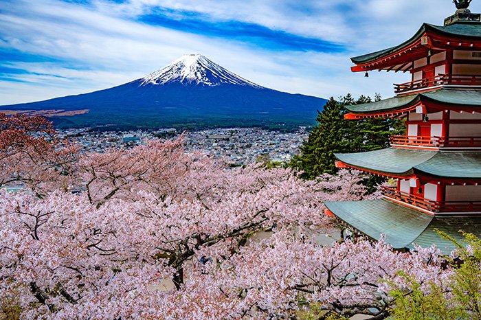 桜満開、日本の原風景