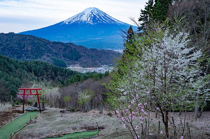 鳥居と富士山