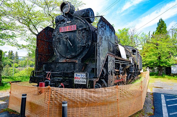 D51