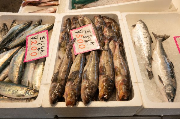 生ほっけとニシン