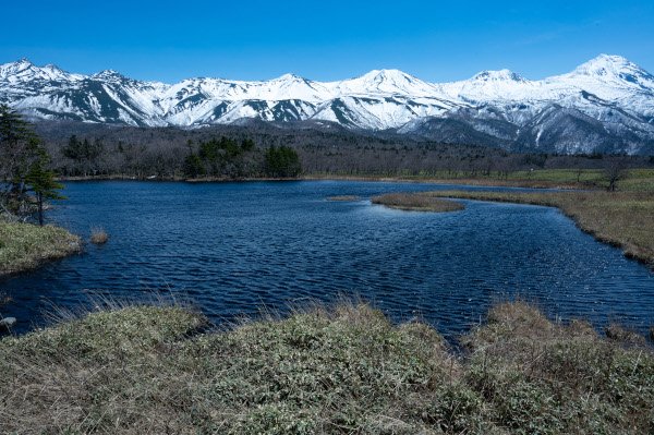 知床五湖から知床連山を望む