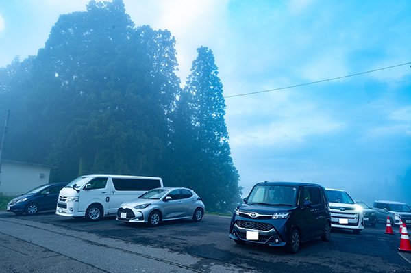 駐車場の車