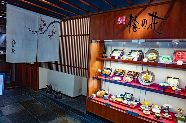 和食系のようです