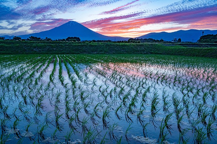 夕焼けの時