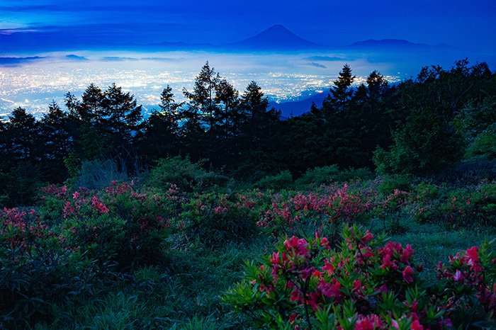 甘利山夜景