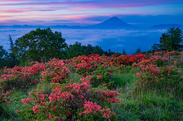 甘利山の撮影の後