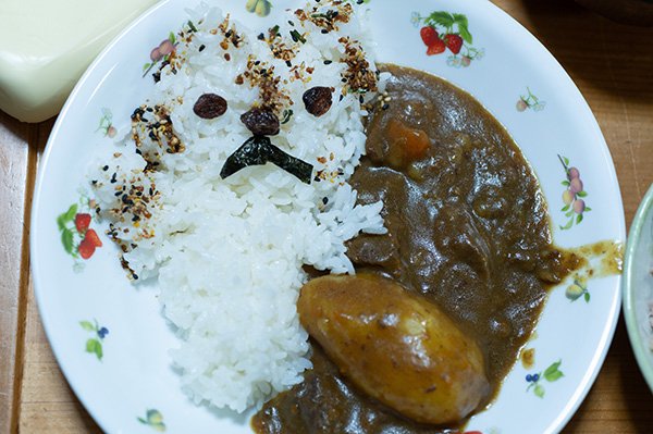 動物カレーを作ろうとして大失敗