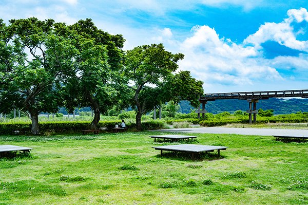 梅雨の晴れ間に