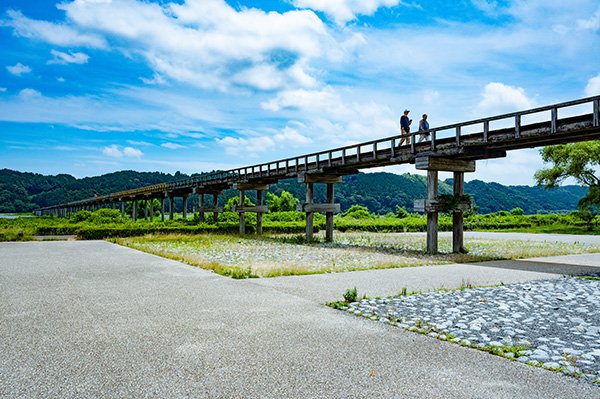 梅雨の晴れ間と蓬莱経