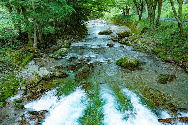 川底の見える円原川