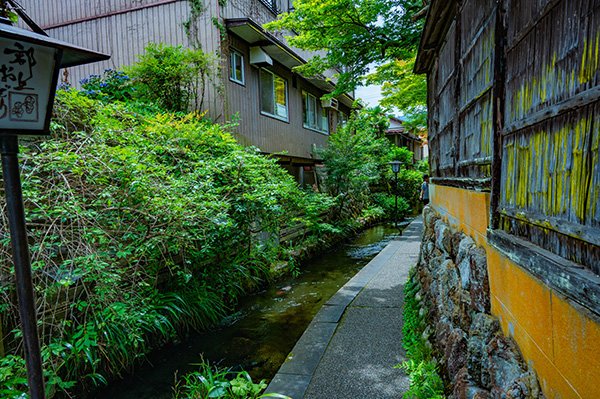 小路をゆく