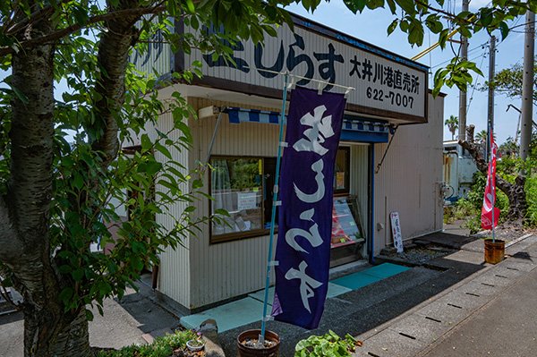 漁協直売所で生シラスを買う