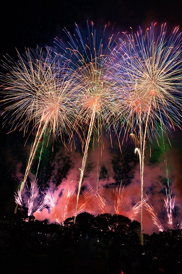 河川敷に咲く花