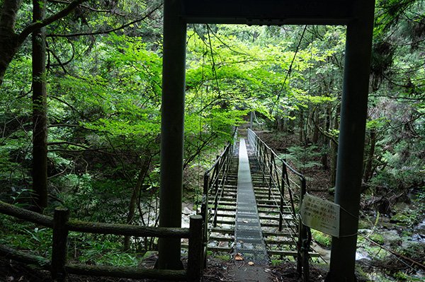 つり橋