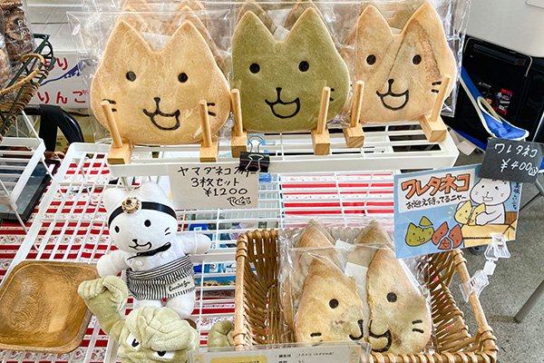 いまや病院が街づくりをする起点になっている