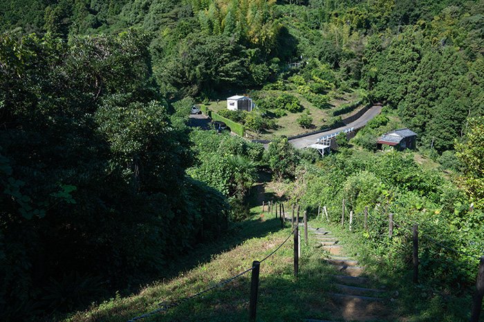 花の木台を下る。