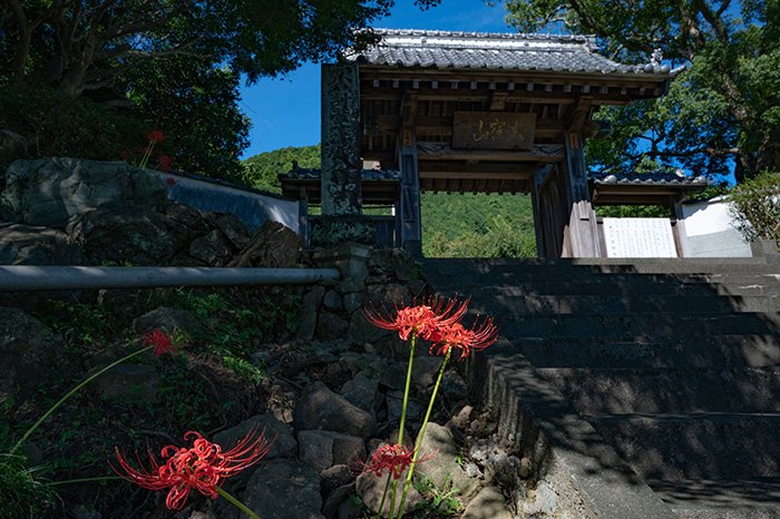 徳願寺山門