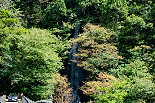 白糸の滝