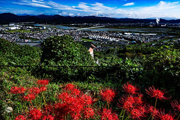 牧之原台地からの富士山
