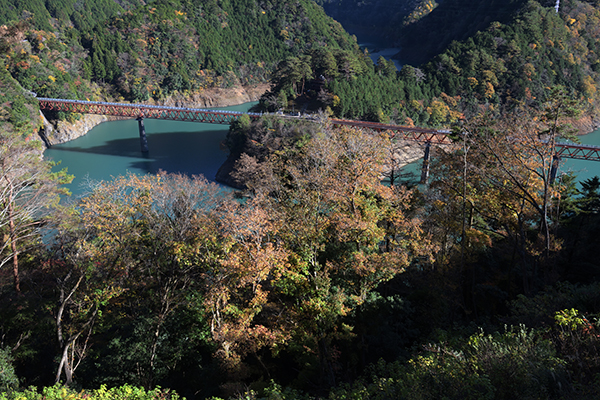 201123nagashima_00001_06.jpg