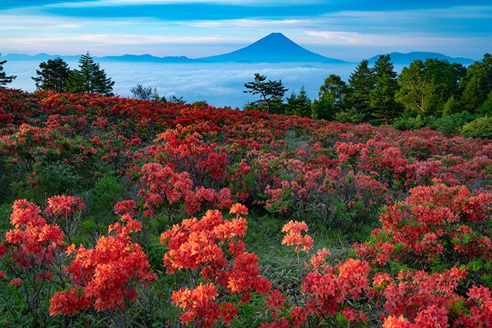 木道から
