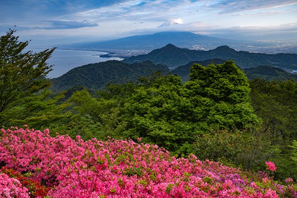 山頂に到着です