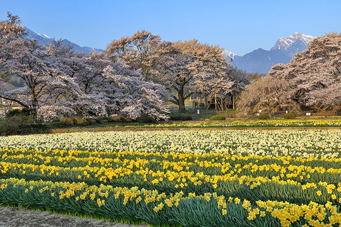 実相寺からみる南アルプスの山々