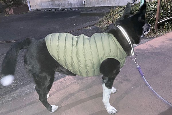 この日はリンちゃんにあいました。