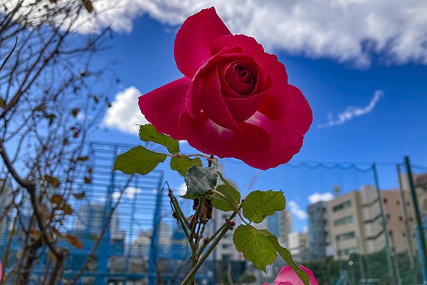 すがすがしい気分です