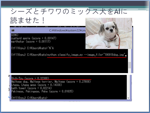 機械学習でミックス犬を見抜く