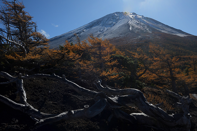 白骨のある風景