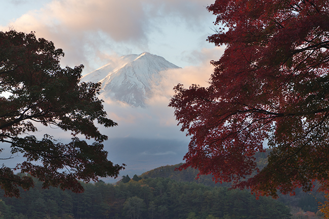 朝焼けと富士山の目覚め