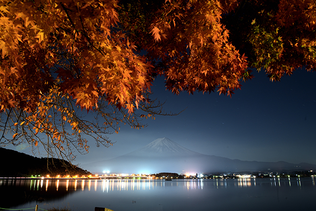 紅葉と富士山夜景