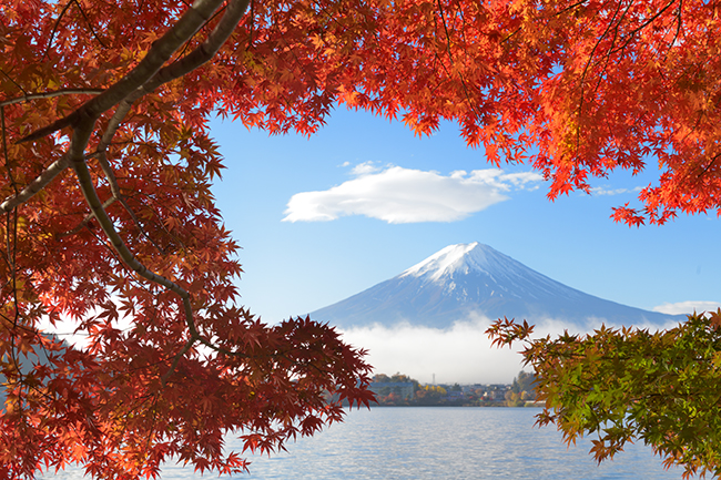 産ヶ崎