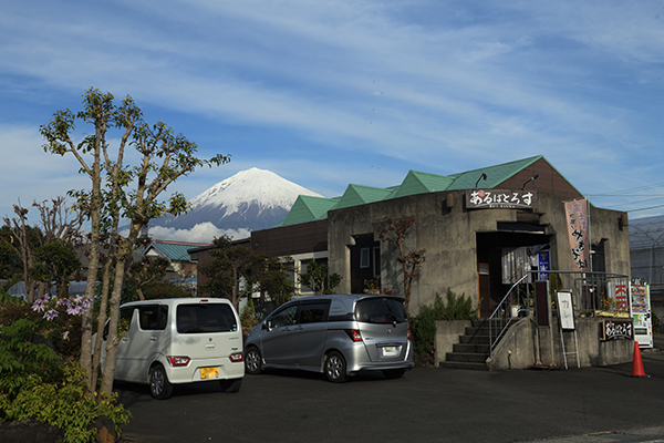 富士宮焼きそば、居酒屋あるばとろす