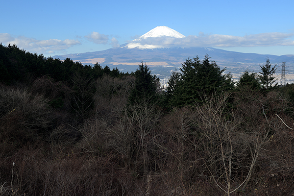 ふじみ茶屋で富士山撮影