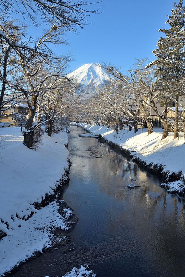 忍野八海雪景色