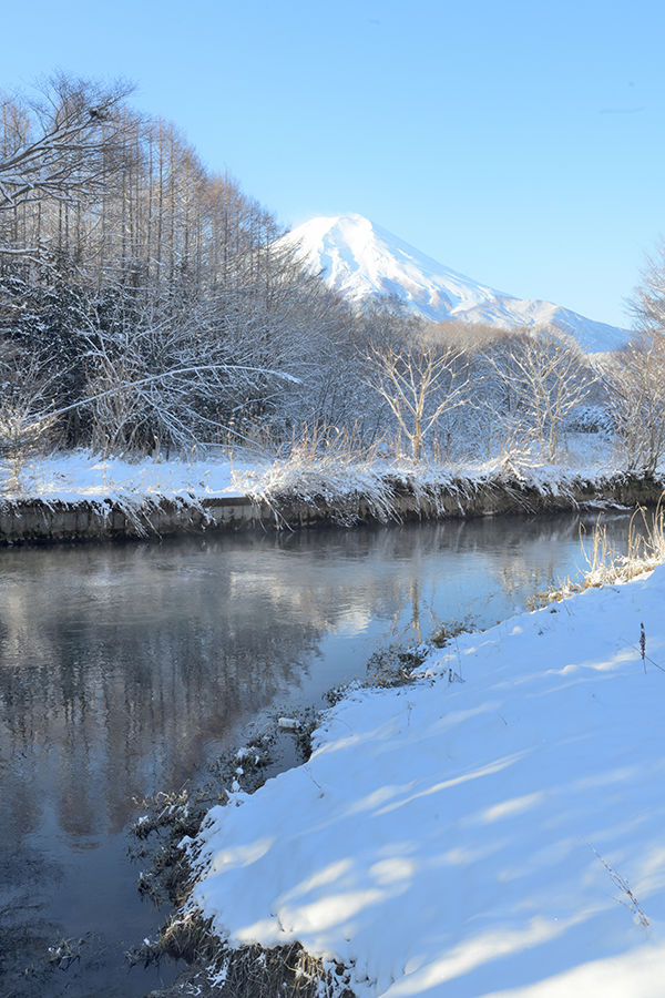 ケアラシと富士山